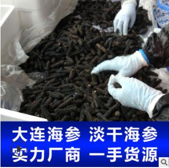 福建霞浦海参干货 大连辽刺参 淡干海参50g/件