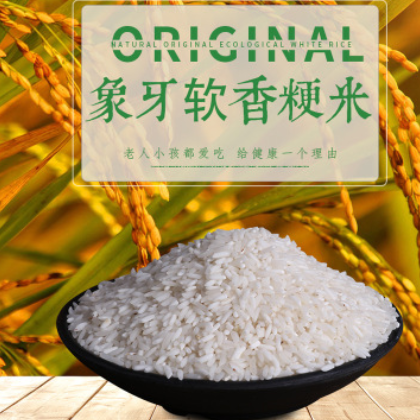 白米 营养五谷 农户种植大米 大米供应 大米直批农家米